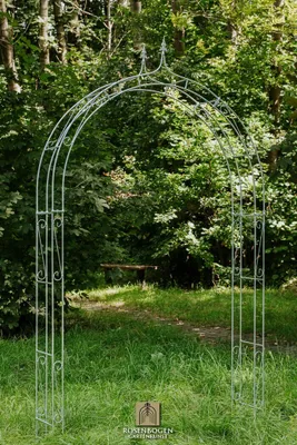 Produktbild von Rosenbogen LENA 140 cm Edelrost