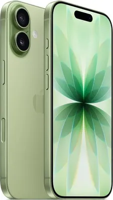 Immagine prodotto di iPhone 17, 256 GB, verde salvia