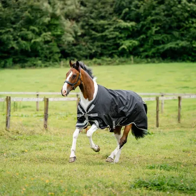 Immagine prodotto di Coperta da paddock Horseware, taglia 155 - Amigo 1200D Turnout, 250g - Colore: nero/grigio titanio e argento