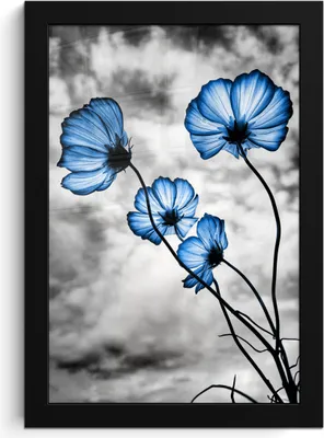 Produktbild von MuchoWow® MuchoWow® Gerahmtes Poster Blumen - Blau - Schwarz - Weiß 20x30 cm - Poster mit zchwarzem Bilderrahmen - Drucken - Bilder Poster im Rahmen