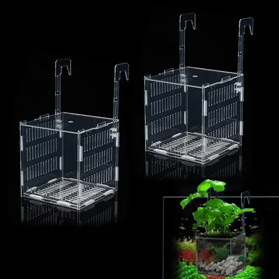 Produktbild von Solidchoice – Aquarienpflanzenhalter mit Saugnäpfen, 2 Stück für dekorative Pflanzen