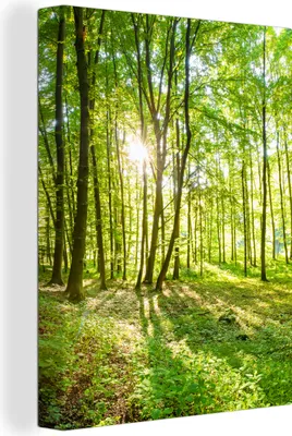 Obrázek produktu pro OneMillionCanvasses® - Obraz na plátně - Příroda - Stromy - Les - Zelená - Sluneční světlo, nástěnná malba, nástěnné dekorace obrazy obývací pokoj, 60x80cm