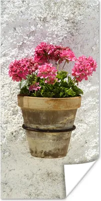Produktbild von MuchoWow® Poster Ein Topf mit Geranienblüten in Bocairent 80x160 cm - Kinderzimmer