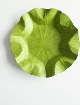 Produktbild von Flexible Hanji-Papierschale Lotusblatt (M) Grün