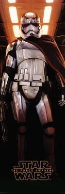 Obrázek produktu pro Star Wars - Plakát na dveře - EP7 Captain Phasma 2