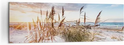 Produktbild von Bild auf Leinwand - Leinwandbild - Einteilig - Möwe Meer Küste - 160x50cm - Wand Bild - Wanddeko - Wandbilder - Leinwanddruck - Bilder - Wanddekoration - Leinwand bilder - Wandbild - AB160x50-4902