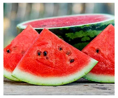 Produktbild von Melonensamen Splendor F1 Wassermelone Portion