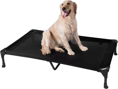 Immagine prodotto di Cuccia rialzata rinfrescante per cani XL, nera