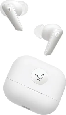 Produktbild von Premium kabellose Ohrhörer mit aktiver Geräuschunterdrückung kristallklarem Klang langer Akkulaufzeit und IP54-Schutz für jede Aktivität.