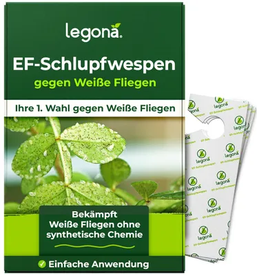 Produktbild von Legona EF-Schlupfwespen gegen Weiße Fliegen – 10 Träger, 3 Lieferungen, 100 m²