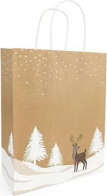 Zdjęcie produktu dla Torba świateczna papierowa 230x120x300mm TINO