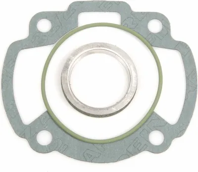 Obrázok produktu pre Sada tesnení Malossi Sport, d=47mm pre Honda Bali / X8R