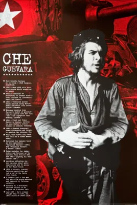 Zdjęcie produktu dla CHE GUEVARA – Fakty – 61 x 91 cm – Plakat