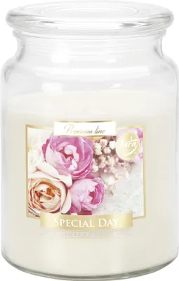 Image de BISPOL Grande bougie parfumée en verre avec couvercle, 100 heures de combustion, poids 500g Parfum : Special Day