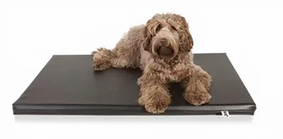 Produktbild von Bia Bed Matras Ligbed Zwart