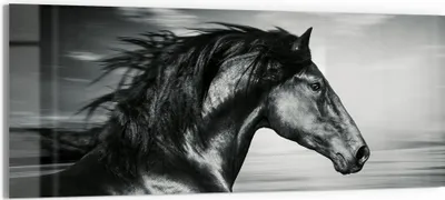 Produktbild von DEQORI Glasbild Echtglas 150x60 cm 'Galoppierendes Pferd' Wandbild Bild modern Deko