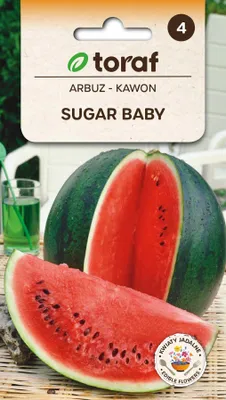 Zdjęcie produktu dla Arbuz Kawon Sugar Baby Nasiona Arbuza Odporne 1.
