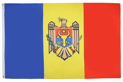 Produktbild von 2 Stück Moldawien-Flagge - 90 x 60 cm - 100% Polyester mit Metallösen