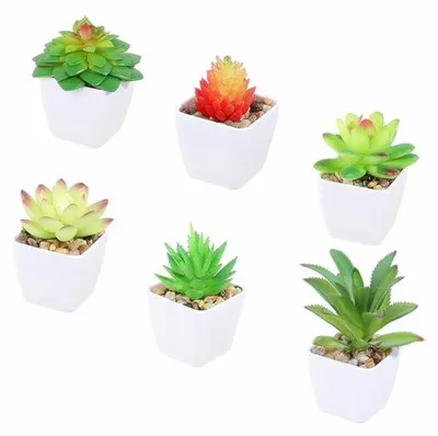 Zdjęcie produktu dla Zestaw miniaturowych sztucznych sukulentów, 6 sztuk, realistyczne, w kolorze zielonym, z tworzywa sztucznego, do dekoracji stołówki lub biura