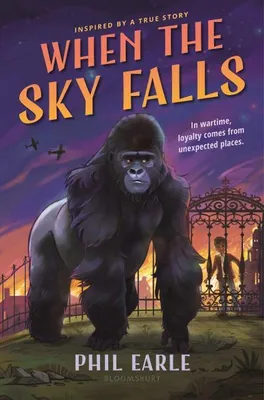 Productafbeelding van When the Sky Falls