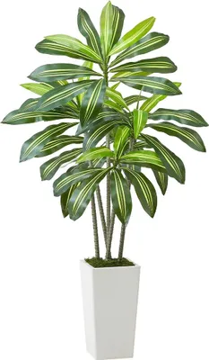 Zdjęcie produktu dla 1524 mm Sztuczne drzewo dracena Sztuczna roślina z białą donicą Do wnętrz