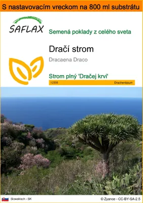 Obrázok produktu pre SAFLAX Garden in the bag - dračí strom - Dracaena Draco - 5 Semená - S pestovateľským substrátom v praktickom samostaviteľnom vrecku