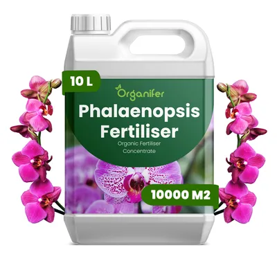 Zdjęcie produktu dla Phalaenopsis Nawóz Płynny 10 L – 3-4-3 NPK – Do Orchidey v Interiéroch, Skleníku i Zbierkach – Organifer