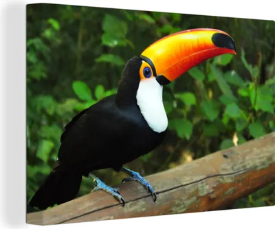 Produktbild von OneMillionCanvasses® - Leinwandbilder - 140x90 cm, Ein Tukan sitzt auf einem Baumstamm, Wandbilder Kunstdruck Wanddekoration - Foto auf Leinwand - Gemälde auf Holzrahmen