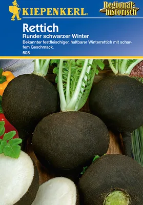 Produktbild von Rettich Runder Schwarzer Winter | Rettichsamen von Kiepenkerl
