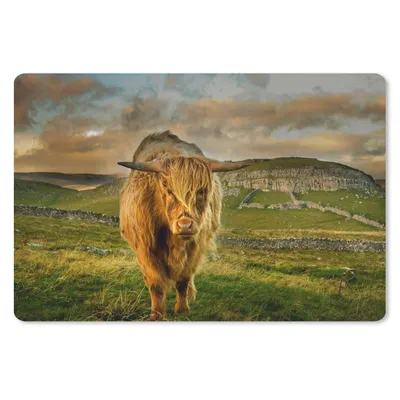 Produktbild von MuchoWow® Schreibtischunterlage Schottischer Highlander - Gras - Berg 60x40 cm - XXL Mauspad - Großes Mauspad
