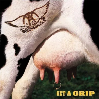 Obrázok produktu pre Aerosmith - Get A Grip (2 LP)