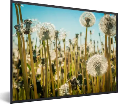 Produktbild von MuchoWow® Gerahmtes Poster Blumen - Löwenzahn - Gras 80x60 cm - Poster mit Schwarzem Bilderrahmen Wandposter Rahmen Foto Bilder - Schwarzem - Mit Gestell