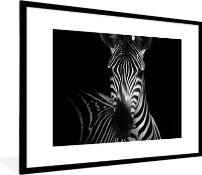 Produktbild von MuchoWow® Gerahmtes Poster Zebra - Schwarz - Weiß - Tiere 80x60 cm - Poster mit Schwarzem Bilderrahmen Wandposter Rahmen Foto Bilder - Schlafzimmer-Dekorationen - Fotoposter