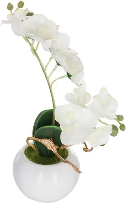 Obrázok produktu pre Umelá orchidea v kvetináči, 25 cm