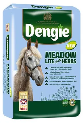 Produktbild von Dengie Meadow Lite with Herbs Pferdefutter für Pferde, Ergänzungsfuttermittel Pferd mit Darmflora Pferd und Leinöl Pferd 15 kg