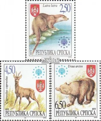 Produktbild von Briefmarken Bosnien - Serbische Republ. 1997 Mi 66-68 (kompl.Ausg.) postfrisch Einheimische Säugetiere