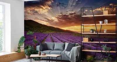 Immagine prodotto di Carta da parati in tessuto non tessuto murale paesaggio incantevole campo di lavanda 315 cm (L) x 210 cm (H) murale decorazione murale