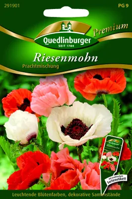Produktbild von Quedlinburger Saatgut - Türkischer Mohn Prachtmischung - Samen - 291901