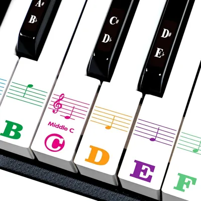 Produktbild von Klaviertasten Aufkleber für Keyboards mit 88/61/54/49/37 Tasten für weiße und schwarze Tasten, Farbe größere Buchstaben-Transparent und Entfernbar