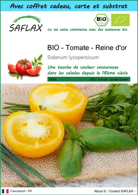 Image de SAFLAX Ensemble-cadeau -- Tomate - Reine d'or - 15 graines - Solanum