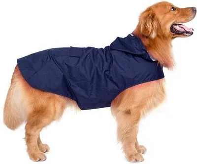 Produktbild von Hunde Regenjacke mit Kapuze und Reflektierenden Streifen - Große Rassen