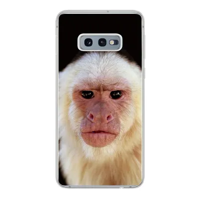 Produktbild von MuchoWow® Handyhülle Schutzhülle Hülle für Samsung Galaxy S10e Affe - Fell - Schwarz Silikon Softcase Handy Hülle - Handy
