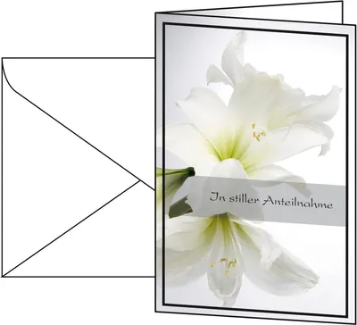 Produktbild von Faltkarte Amaryllis 115x170mm 220g/qm VE=20x10 Stück incl. Umschläge