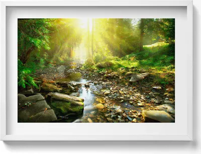 Produktbild von Waldbach im Sonnenschein– Wandbild mit Rahmen – Gerahmtes Bild  – Wanddekoration – 70x50 cm –  Weiß Rahmen