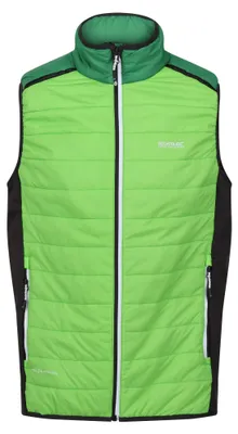 Produktbild von Regatta - "Halton VII" Weste Wattiert für Herren RG9359 (XL) (Jasmin-Grün/Feldgrün)