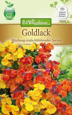 Produktbild von Goldlack Mischung | Blumensamen von N.L. Chrestensen