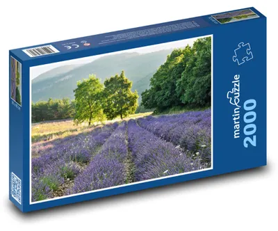 Obrázok produktu pre Puzzle 2000 Levanduľové pole - martinpuzzle