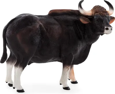Obrázok produktu pre Mojo Fun Gaur Bull, 3 rok / roky, Wildlife, Čierna, Hnedá, Polyvinylchlorid (PVC)