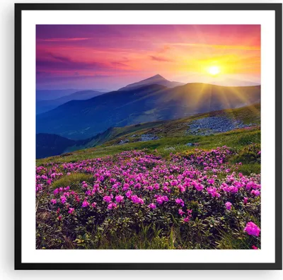 Produktbild von Gerahmtes Poster - Schwarzer Rahmen - Wiese Berge Landschaft - 60x60 cm - Wand Bild - Wanddeko - Wandbilder - Kunstposter - Wandposter - Bilderrahmen - Bilder - Kunstdruck - Wandbild - P2BAC60x60-2676