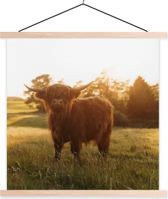 Produktbild von MuchoWow® Textilposter Schottisches Hochlandrind - Gras - Sonne 60x60 cm mit holzfarbenen Rahmen - Wanddekoration